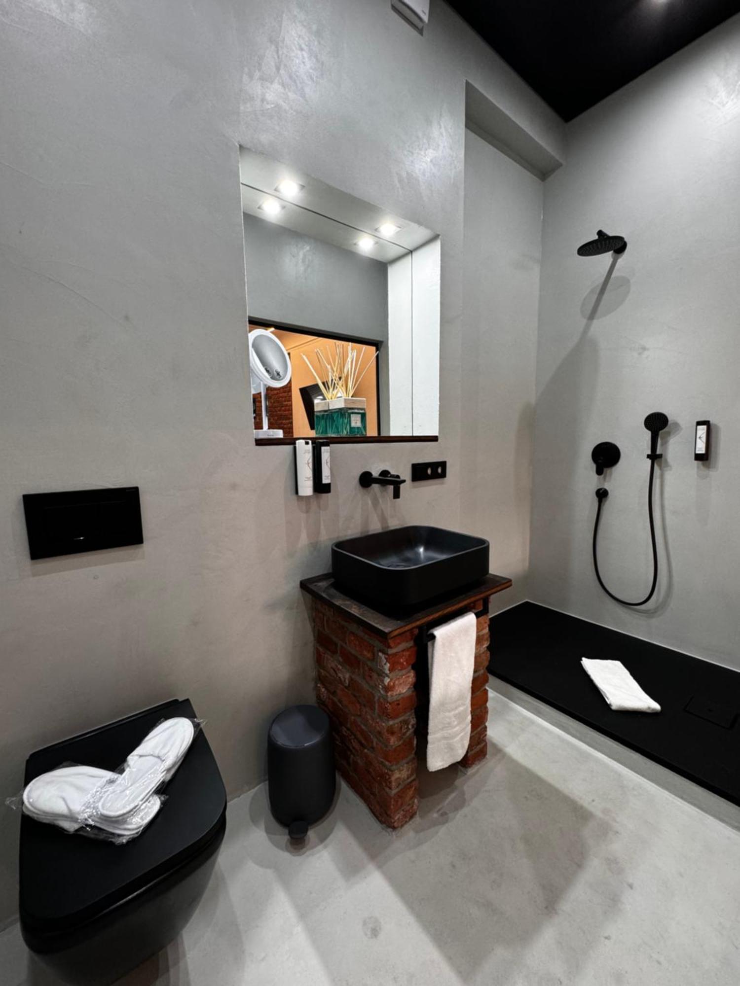 Historical Luxury Homes - Luxus Loft Wallstreet Freiburg im Breisgau Ngoại thất bức ảnh